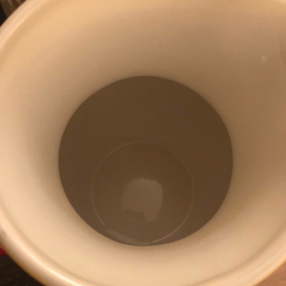 Pitcher - Picture 5 of 5